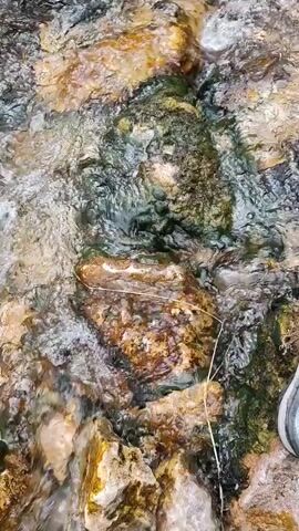 The video shows a close-up view of a shallow, rocky stream with clear water flowing over the stones. The stream bed is made up of various colored rocks, some appearing to be smooth and others rough. There are patches of green moss and algae on some of the rocks, and a few blades of grass are visible. The water is transparent, allowing the rocks beneath to be clearly seen. The camera pans slightly upward, revealing more of the stream and the surrounding vegetation. In the lower right corner of the frame, a person's foot wearing a gray sneaker and green pants is visible, suggesting they are standing on the bank of the stream. The overall scene depicts a natural, outdoor environment, possibly a hiking trail or a park.