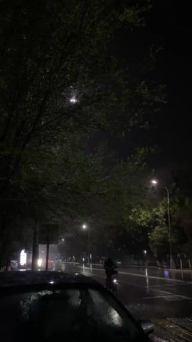 The video depicts a rainy night scene. A car is partially visible in the foreground with raindrops on its hood. A street stretches into the distance, illuminated by streetlights, with wet asphalt reflecting the light. Trees line the street, with their branches reaching overhead, partially obscuring the moon. A person on a bicycle can be seen riding down the street, with their silhouette visible against the bright background.