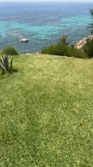Mediterranean views from Llucmajor's coastal cliffs and gardens