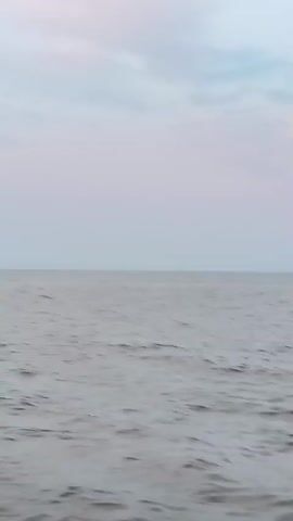 The video begins with a wide shot of a body of water under a cloudy sky. As the video progresses, a person emerges from the water and swims into the frame from the right, moving towards the left. The person is seen briefly before the camera pans to the left, showing a distant shoreline with trees. The sky then shows some pink and purple hues, suggesting it might be sunset or sunrise. The video ends with a view of the water and the distant shoreline.