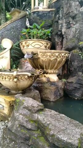 The video presents a serene outdoor scene featuring a decorative water feature and a pond. It begins with a close-up of a multi-tiered fountain adorned with ornate golden pots. Water gently flows from the uppermost pot, which contains lush green plants, into a second, larger golden basin, and then into a pond below. A small, light-colored bird is briefly seen perched on the middle fountain tier at the beginning of the clip.

As the camera slowly pans to the right, more of the environment is revealed. The pond is home to numerous small, orange-hued goldfish actively swimming, and several red lily pads float gracefully on the water's surface. The pond is bordered by natural-looking rock formations, some of which are covered in moss. Tall, reedy plants form a verdant backdrop behind these rocks, adding to the natural aesthetic.

In the background, a large building with intricate architecture becomes visible. It features multiple domes or gazebos with classical designs, suggesting a grand or resort-like setting. A white sign with the partially visible text "WELCOME TO KOTA" can be seen in the distance, providing a clue to the location, likely "Kota Bunga" given the provided context of Kecamatan Sukaresmi, Indonesia. The overall atmosphere is tranquil, with the gentle sound of flowing water and the peaceful movements of the fish. The lighting suggests it is daytime, possibly overcast or during softer light hours.