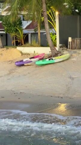 Three kayaks are on the sand near palm trees. The kayaks are purple, pink, and green. There are buildings in the background and waves on the shore.