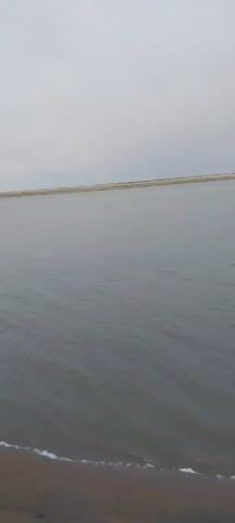 A still, wide shot captures a vast, calm body of water under a cloudy sky. The water appears dark and murky, with a gentle ripple effect on its surface. In the distance, a flat, light-colored horizon line suggests a distant shore or landmass, possibly with sparse vegetation or sand. The overall impression is one of open, natural space, likely a lake or a wide river, with a subdued and overcast atmosphere.