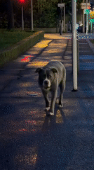 Spring evening scenes documented across Esch-sur-Alzette, Luxembourg