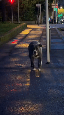 Spring evening scenes documented across Esch-sur-Alzette, Luxembourg
