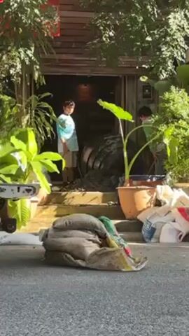 The video shows a scene outside a building, likely a house or a shop, with sandbags in the foreground on the street. A young boy wearing a light blue shirt and khaki shorts is standing on the steps leading up to the building, looking at something inside. Another person, possibly an adult, is partially visible on the right side of the frame, also on the steps. They appear to be working with something inside the building. The building has a rustic, wooden facade with plants and greenery around the entrance. There's a pickup truck parked on the left side of the frame, with its tailgate partially visible.  The day is bright, and shadows indicate that the sun is shining.