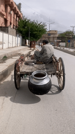 Traditional horse-drawn cart spotted on Quetta streets