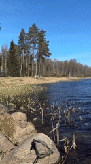 Visitor documents scenic lake views in Aleksandrovka, Russia