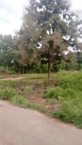 The video shows a view from a moving vehicle on a dirt road. The scenery consists of trees, bushes, and dirt hills. The sky is cloudy with patches of blue. The camera is shaky.