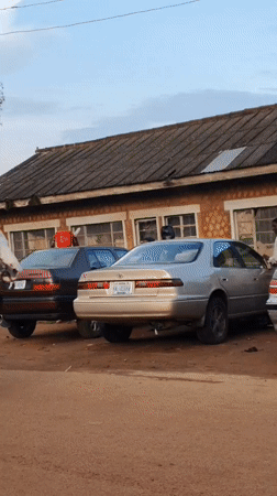 Bukuru street life: horses, haulers, and market hustle