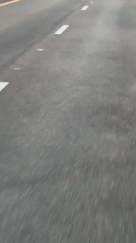 The video shows a POV perspective of a vehicle traveling on a highway. The road is asphalt with white dashed lines marking the lanes. On the left side of the road, there is a yellow line and then a grassy shoulder with some scattered bushes. In the distance, other vehicles are visible, including a red car and a white car. The sky appears overcast. The overall environment suggests a rural or semi-rural highway.