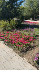Aktobe city park on a bright summer morning