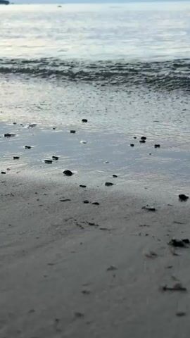 The video shows a close-up, low-angle shot of a sandy beach with gentle waves lapping at the shore. Small dark pebbles are scattered across the wet sand. The water is a calm, pale blue, and the sky above appears overcast or hazy. The focus is on the texture of the sand and the subtle movement of the water. There are no people or animals visible. The overall mood is peaceful and serene.