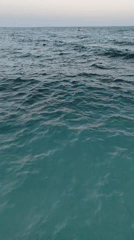Calm beach afternoon: waves, sand, and a pier view