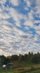 Early autumn morning around a small Russian village