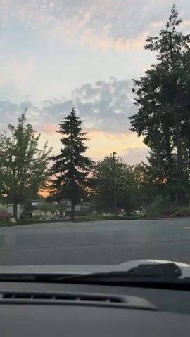 The video is taken from inside a vehicle, looking out a windshield. The perspective is low, and the bottom of the frame is occupied by the dashboard and windshield wipers. The scene outside is a parking lot with trees and a dusky sky. A tall, slender evergreen tree stands prominently in the center of the frame. To its left are deciduous trees with lighter green foliage. To the right are more trees and a lamppost. The sky is filled with clouds, some of which are tinged with pink and orange from a setting sun. In the distance, a building or structures are visible behind the trees. A red vehicle passes by on the left side of the frame, captured in motion. The pavement in front of the vehicle appears wet, possibly from recent rain. The overall mood is calm and serene, indicative of early evening.
