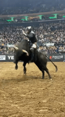 Bull rider competes at New York arena event