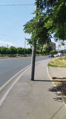 Morning street scene documented in central Yerevan