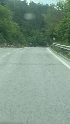 The video depicts a road passing through a dense forest. The road is paved and marked with white lines, and a metal guardrail lines the right side of the road. A round red-and-white road sign, indicating a traffic restriction, is visible on the right side of the road. Lush green trees cover both sides of the road, creating a green canopy overhead. The sky appears overcast, and the overall lighting is diffused. The camera is stationary, and there are no visible people or vehicles. The atmosphere is quiet and serene, with the focus primarily on the natural landscape.