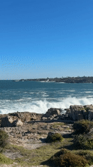 Coastal scenery and sculpture documented in Hermanus, South Africa