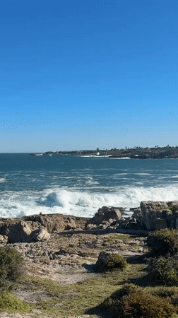 Coastal scenery and sculpture documented in Hermanus, South Africa
