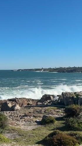 Coastal scenery and sculpture documented in Hermanus, South Africa