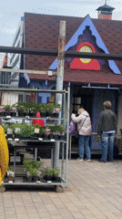 Plant market operates in Krasnoyarsk with outdoor and greenhouse vendors