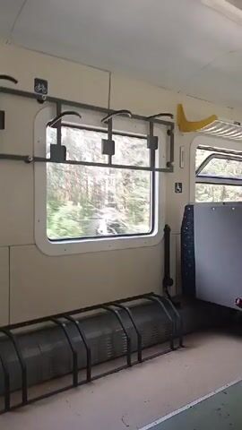 This video shows the interior of a train car with a window on the left. Outside the window, trees and foliage are visible, indicating the train is in motion. Inside the train car, there are several objects. Mounted on the wall above the window are bicycle racks, with hooks for securing bikes. Below the window, there is a long, gray, metal rack designed to hold bicycles, with multiple horizontal bars. To the right of the window, a seat with a patterned fabric is partially visible, and a yellow handle is mounted on the wall above it. A symbol indicating accessibility is also visible on the wall to the right of the window. The walls and ceiling of the train car are a light, neutral color. The lighting suggests it is daytime.