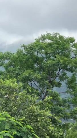 The video captures a scenic journey through a mountainous, verdant landscape in Bình Lư, Vietnam. It opens with a dynamic shot from a moving vehicle, showing a lush environment with dense trees and vegetation flanking a wet road. Majestic mountains, partially shrouded in mist or clouds, dominate the background. Utility poles and wires are visible alongside the road.

As the camera stabilizes, it frames a wet, asphalt road receding into the distance, bordered by rich greenery. A person on a red motorcycle, wearing a red top and helmet, rides towards the camera. Further down the road, other vehicles, including cars and motorcycles, can be seen. The overcast sky and wet road suggest recent rain or humid conditions. A yellow diamond-shaped warning sign is visible on the right side of the road. The video conveys the atmosphere of a serene, albeit damp, rural mountain setting.