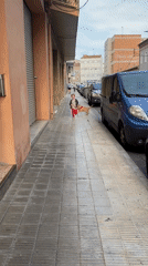 Boy runs with dog on Lleida sidewalk