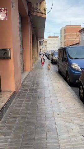 A young boy with blond hair runs down a sidewalk alongside a tan dog on a leash. He is wearing a light-colored long-sleeved shirt with a print, red pants, a dark jacket, and tan shoes. The dog is slightly behind him. The sidewalk is made of gray square tiles and is lined with buildings on the left and parked cars, including a blue van, on the right. Other people are walking further down the sidewalk. The boy runs toward the camera, then the camera is obscured.