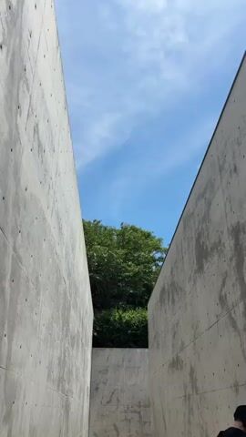 The video shows a narrow pathway between two tall, unfinished concrete walls. The walls have a rough texture and appear to be made of poured concrete, with some visible imperfections and discoloration. The pathway leads upwards, and at the end, a dense green tree canopy is visible against a bright blue sky with wispy white clouds. The camera is positioned low, looking up the pathway. At the very bottom right of the frame, a person wearing a dark hoodie and a hat is partially visible, appearing to be looking up the pathway. The scene suggests an outdoor architectural space, possibly a modern building or an art installation, with a natural element of trees and sky framed by man-made structures. The lighting indicates it is daytime.