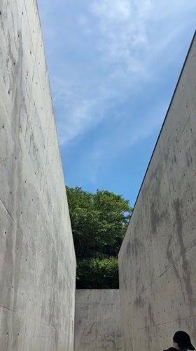Concrete corridors and calm water on Naoshima