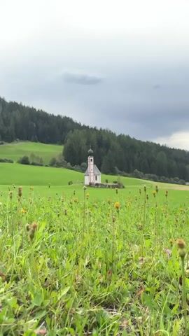 The video shows a small white church with a red roof and a black dome, situated in a lush green field dotted with yellow flowers. The field slopes upwards towards a dense forest of green trees. The sky is overcast with gray clouds. The camera is positioned low, at ground level, focusing on the flowers in the foreground, with the church and the forest serving as the background. The video pans slightly to the right, revealing more of the expansive field and the tree line. The scene appears peaceful and serene.