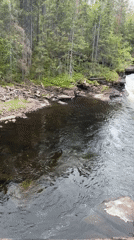 Waterfall and grazing sheep captured near Maura, Norway