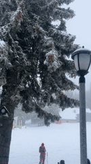 Spring skiing activity observed in snowy Sofia