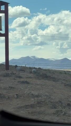 The video captures a serene outdoor scene in a mountainous, arid landscape. In the foreground, two pigeons stand on rocky, dry ground. To the left, a prominent structure with red supports holds multiple golden prayer wheels, indicative of a Buddhist cultural setting. Power lines stretch horizontally across the mid-ground. Beyond the immediate foreground, majestic snow-capped mountains dominate the horizon under a bright blue sky filled with fluffy white clouds. A person is briefly visible walking behind the prayer wheel structure around the 0:04 mark. The daylight is clear, and the overall atmosphere is peaceful, characteristic of a high-altitude region such as Labrang township, China.