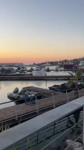 A vertical video shows a marina at sunset. Several boats of various sizes are docked. A wooden walkway with metal railings is in the foreground. A small palm tree in a pot sits on the walkway. The sky is clear with a gradient of orange and pink from the setting sun. Buildings and more boats are visible in the background.