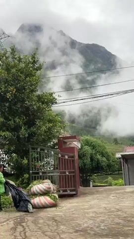 The video shows a landscape with mountains partially obscured by fog or low clouds. In the foreground, there's vegetation, including bushes and trees, and utility poles with wires. There is a sign featuring an image of a pyramid-shaped diagram with food items, as well as several parked motorbikes behind a fence. The video appears to be taken from a moving vehicle, as the perspective shifts quickly.