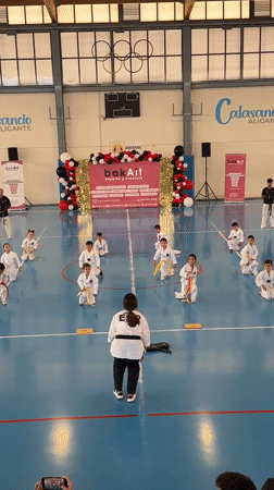 Children's taekwondo class held at Alicante gymnasium