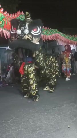 This is a short video clip of a lion dance performance. The front of a large, black and gold lion costume, adorned with red accents and large, glowing red eyes, is prominently featured. A person, dressed in a colorful, patterned outfit and a red headscarf, is seen manipulating the lion costume from within. The person is holding a pole that supports the head of the lion. Another person, partially visible, appears to be operating the long, segmented body of the lion costume, which is green and white with red and gold embellishments. Several other people are visible in the background, some standing and watching the performance. The setting appears to be an outdoor night scene, possibly a street or a public gathering area, with some lighting present, suggesting a festive occasion. The overall atmosphere is energetic and celebratory.