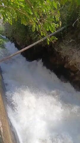 The video shows a close-up, high-angle view of a fast-flowing stream of white water cascading down a concrete channel. The water is turbulent and foamy, indicating a steep drop or rapid flow. Overhanging green foliage from trees lines the top of the channel, with branches extending into the frame. The channel walls are made of concrete on the left and rocky, overgrown earth on the right. A thin, horizontal pipe or pole extends across the channel near the top of the frame, supported by the embankment. The overall impression is one of natural water flow channelized by man-made structures.
