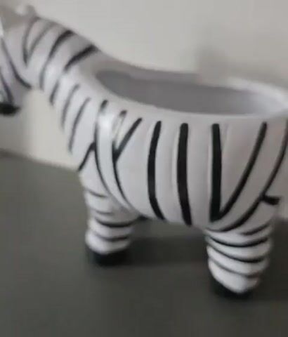 The video shows a white ceramic zebra-shaped planter with black stripes sitting on a dark gray surface against a white wall. The planter is facing left and has an opening at the top. The camera is positioned at eye level with the planter and slowly zooms in. The lighting is soft and even.