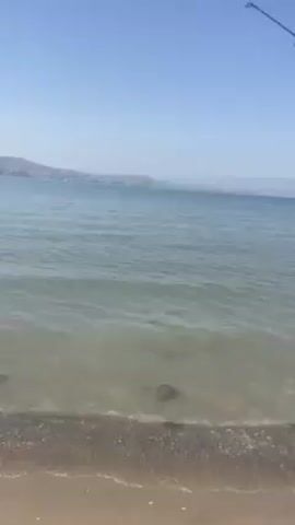 The video shows a shoreline with a body of water and hills in the background. The camera then focuses on a large, dark-colored catfish lying on the sand and shell-strewn beach. A person’s foot is visible near the fish, and there is fishing equipment nearby.