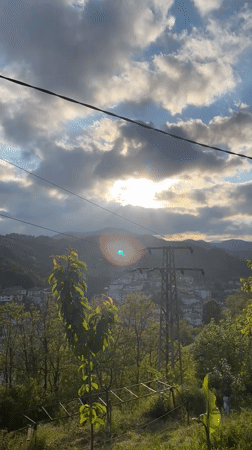 Spring flowers bloom overlooking mountain town in Bulgaria