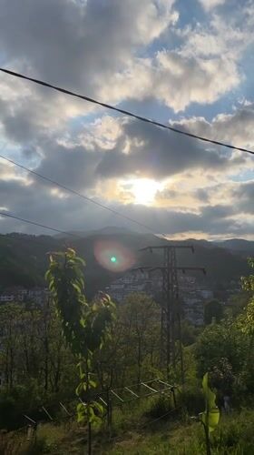 Spring flowers bloom overlooking mountain town in Bulgaria
