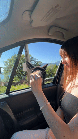 Woman feeds donkey through car window in Montenegro