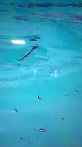 Drone footage captures tropical resort scenes in Dnipro, Ukraine