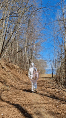 Morning nature walk documented in Noviy Russia forests