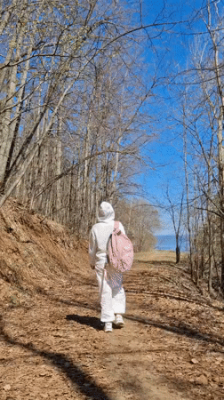 Morning nature walk documented in Noviy Russia forests